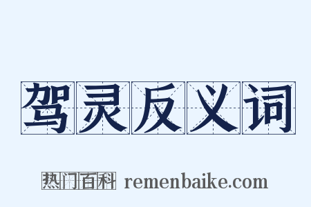 驾灵反义词是什么意思的图片